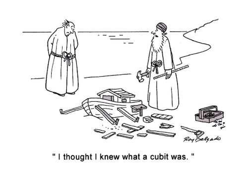 'I thought I knew what a cubit was.'