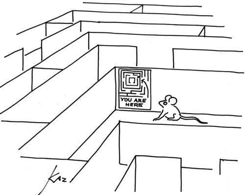 Laboratory mouse in a maze with directions.