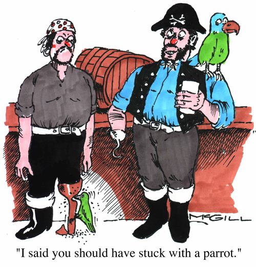 "I said you should have stuck with a parrot"
