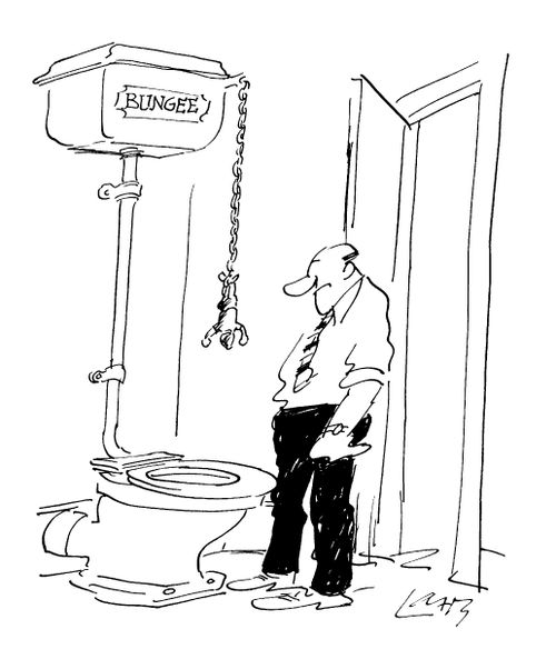Bungee Toilet Flush