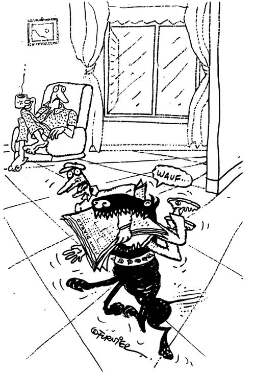 Dog bringing paper and paper boy.