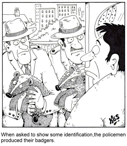 'When asked to show some identification,the policemen produced their badgers.'