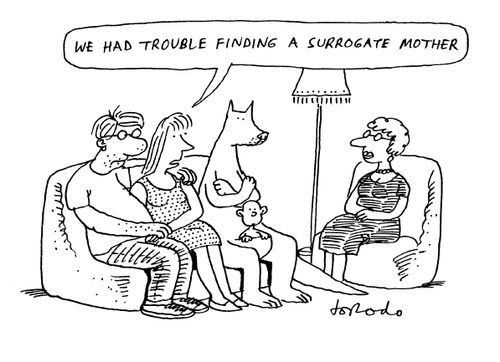 'We had trouble finding a surrogate mother.'