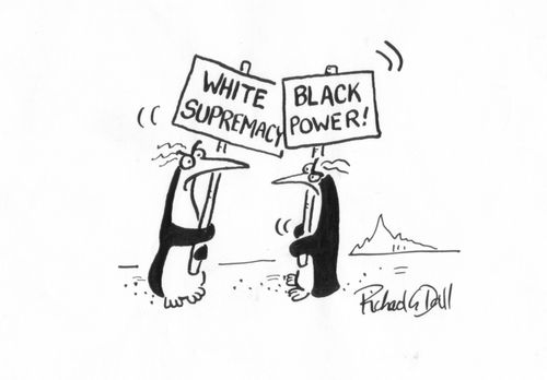 Penguin racists