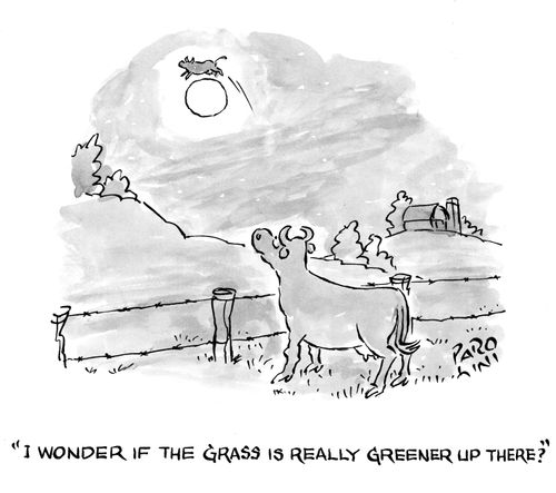 'I wonder if the grass is really greener up there?'