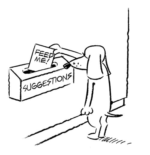 Dog uses suggestions box to demand feeding