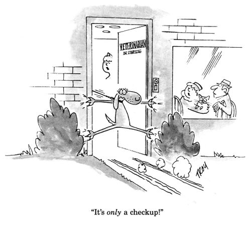 'It's only a checkup!'