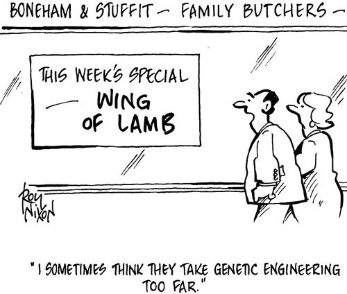'I sometimes think they take genetic engineering too far.'