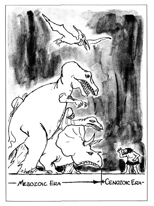 Mesozoic Era/Cenzoic Era.