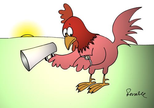 Waking Up With Rooster.