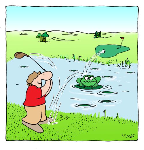 Frog Gets Hit By Golf Ball.