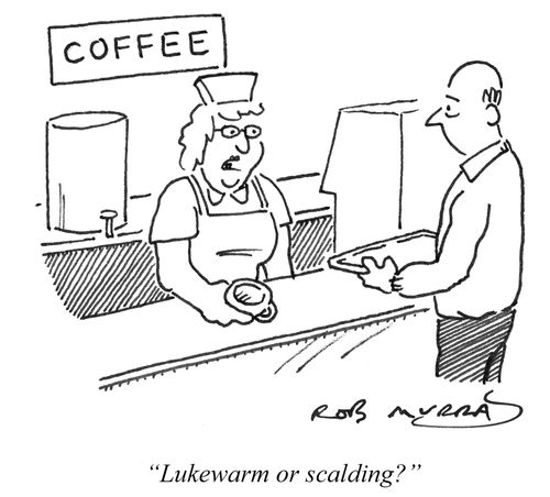 'Lukewarm or scalding?'