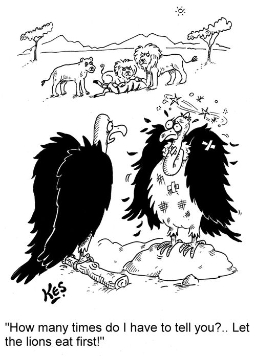 'How many times do I have to tell you?... Let the lions eat first!'