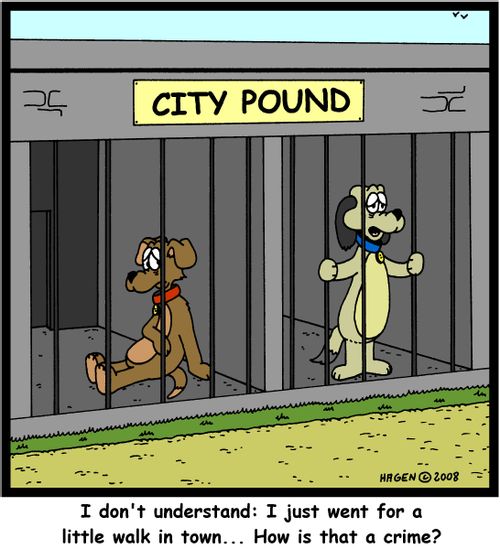 'I don't understand: I just went for a little walk in town... How is that a crime?'