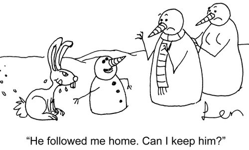 'He followed me home. Can I keep him?'