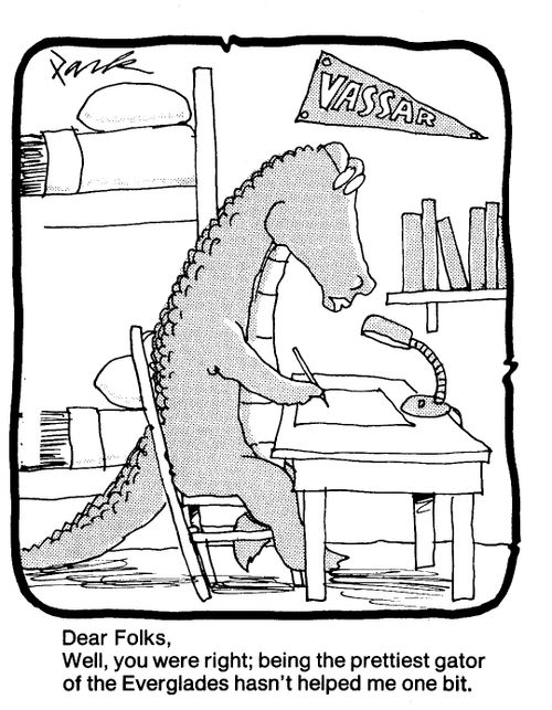 Dear folks. Well, you were right; being the prettiest gator of the Everglades hasn't helped me one bit.'
