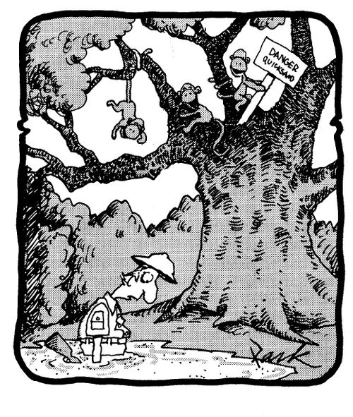 Monkeys Steal Quicksand Sign.