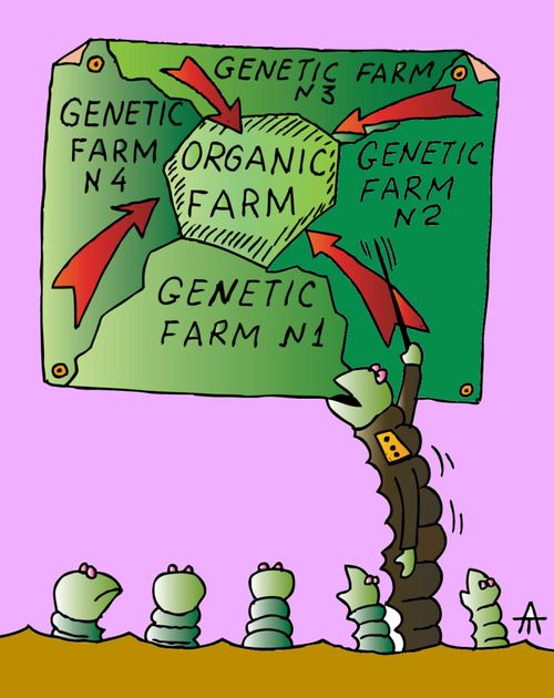 Organic farm