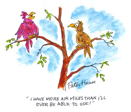 'I have more air miles than I'll ever be able to use!'