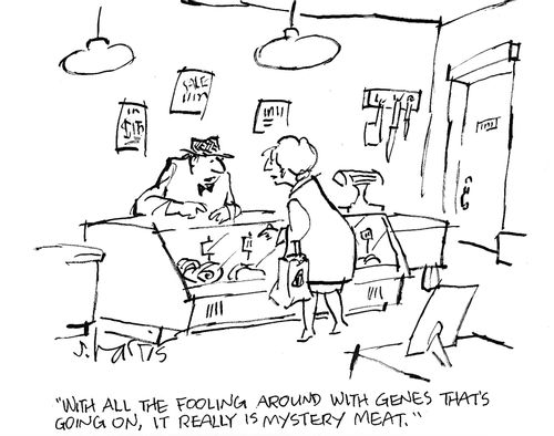 'With all the fooling around with genes that's going on, it really is mystery meat.'