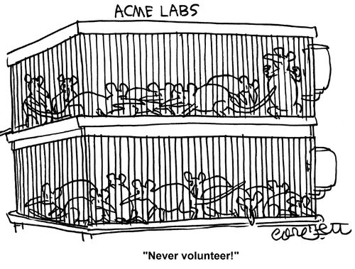 Acme Labs: 'Never volunteer!'