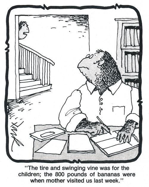 'the tire and swinging vine was for the children; the 800 pounds of bananas were when mother visited us last week.'