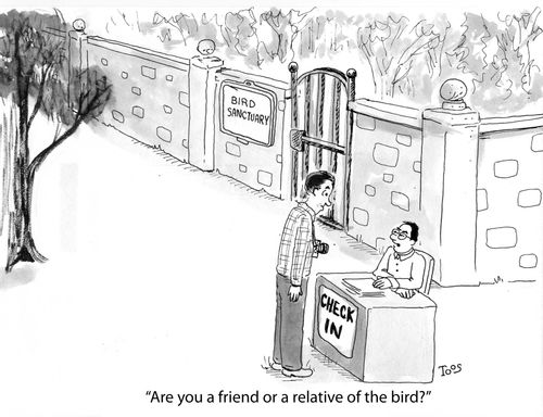 'Are you a friend or a relative of the bird?'