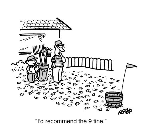 'I'd recommend the 9 tine.'