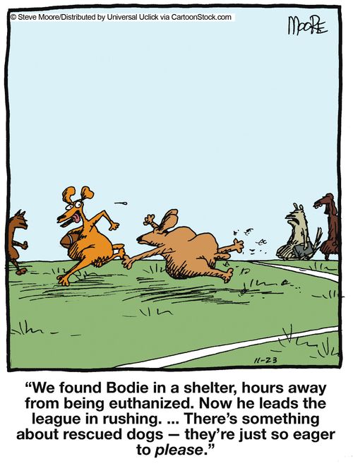 '...There's something about rescued dogs - they're just eager to please.'