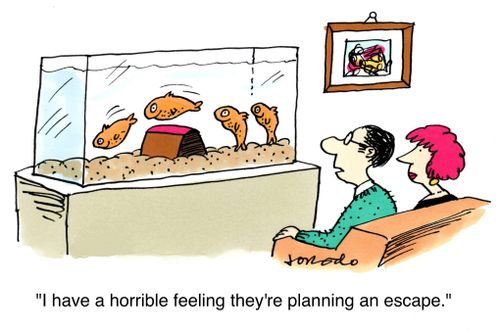 'I have a horrible feeling they're planning an escape.'