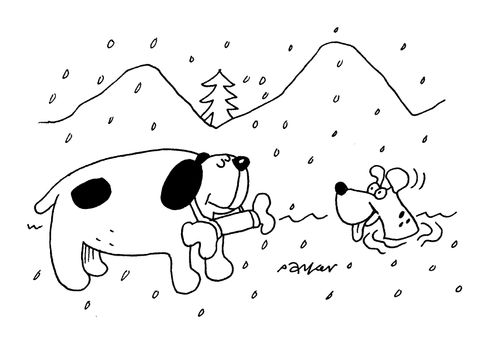 Dog snowbound, St.Bernard with bone.