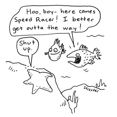 Making fun of Starfish.