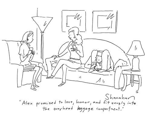 'Alex promised to love, honor, and fit snugly into the overhead baggage compartment.'