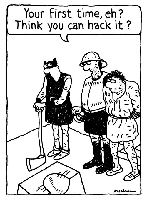'Your first time, eh? Think you can hack it?'