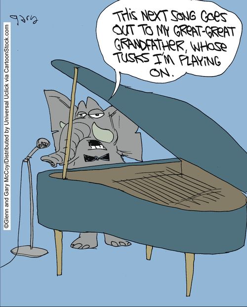 'This next song goes out to my great-great grandfather, whose tusks I'm playing on.'