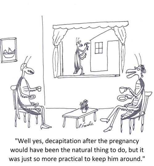 'Well yes, decapitation after the pregnancy would have been the natural thing to do, but it was just so more practical to keep him around.'