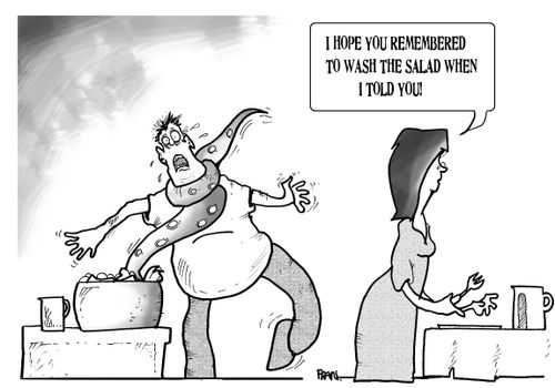 'I hope you remembered to wash the salad when I told you.'