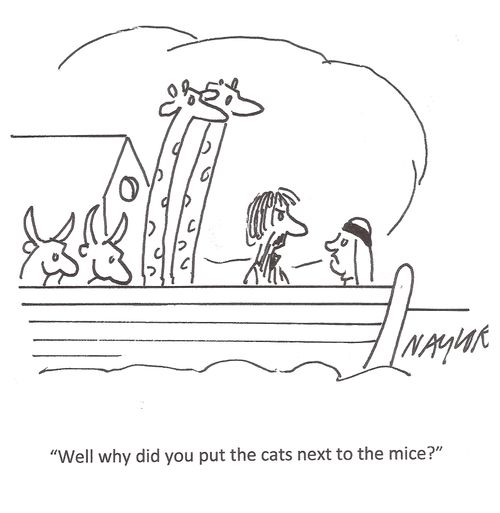 'Well why did you put the cats next to the mice?'