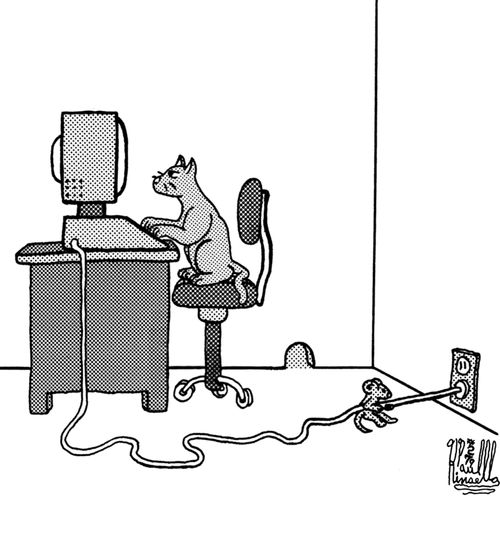 Mouse unplugging cat's computer.
