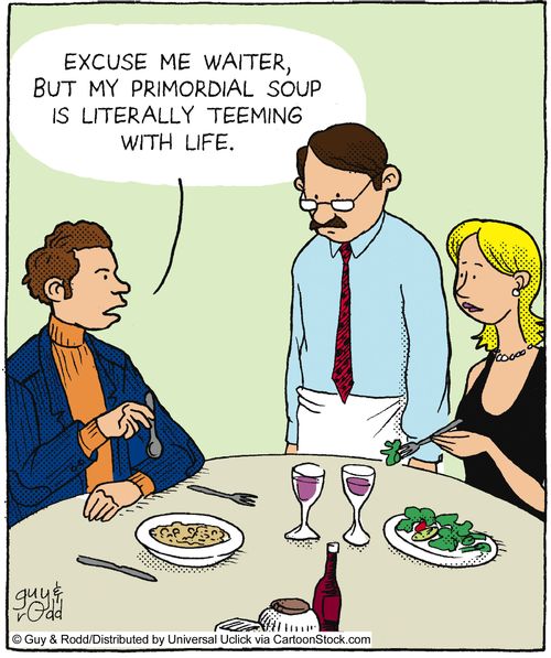 'Excuse me waiter, but my primordial soup is literally teeming with life.'