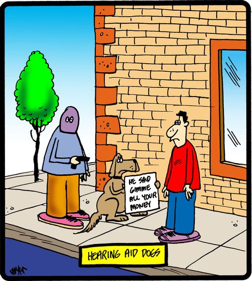 Hearing aid dogs.