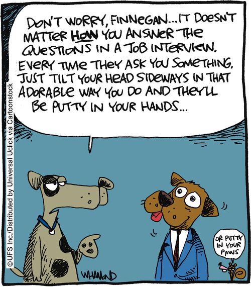 'Don't worry, Finnegan... it doesn't matter how you answer the questions in a job interview. Every time they ask you something, just tilt your head sideways in that adorable way you do and they'll be putty in your hands...'
