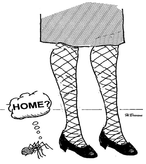 'Home?'