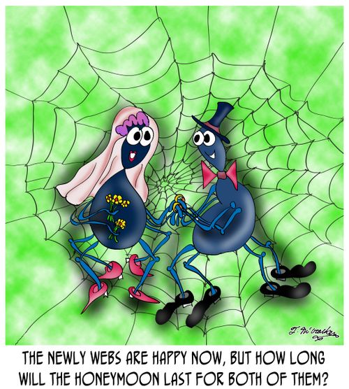 The newly webs are happy now, but how long will the honeymoon last for both of them?