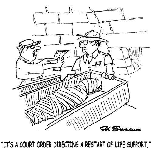 'It's a court order directing a restart of life support.'