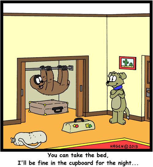 'You can take the bed, I'll be fine in the cupboard for the night...'