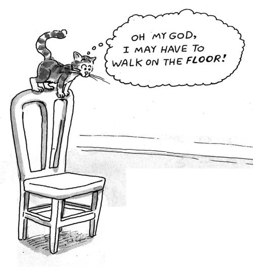 'Oh my god, I may have to walk on the floor!'