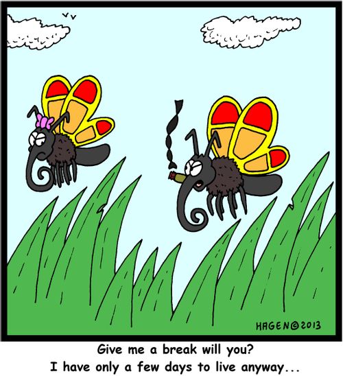 'Give me a break will you? I have only a few days to live anyway...'