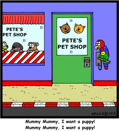 'Mummy Mummy, I want a puppy! Mummy Mummy, I want a puppy!'