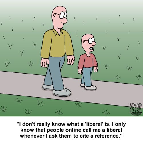'I don't really know what a 'liberal' is. I only know that people online call me a liberal whenever I ask them to cite a reference.'